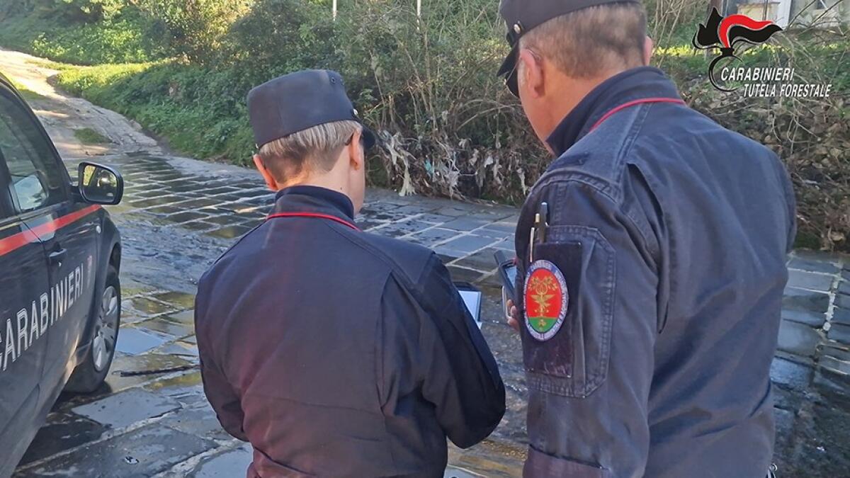 Scarico illecito di acque reflue industriali: commerciante denunciato dai Carabinieri. - 