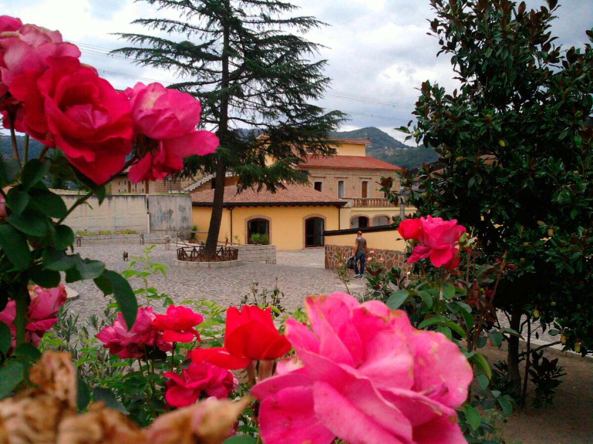 Casa sulla Roccia, quest'anno il quarantennale. - 