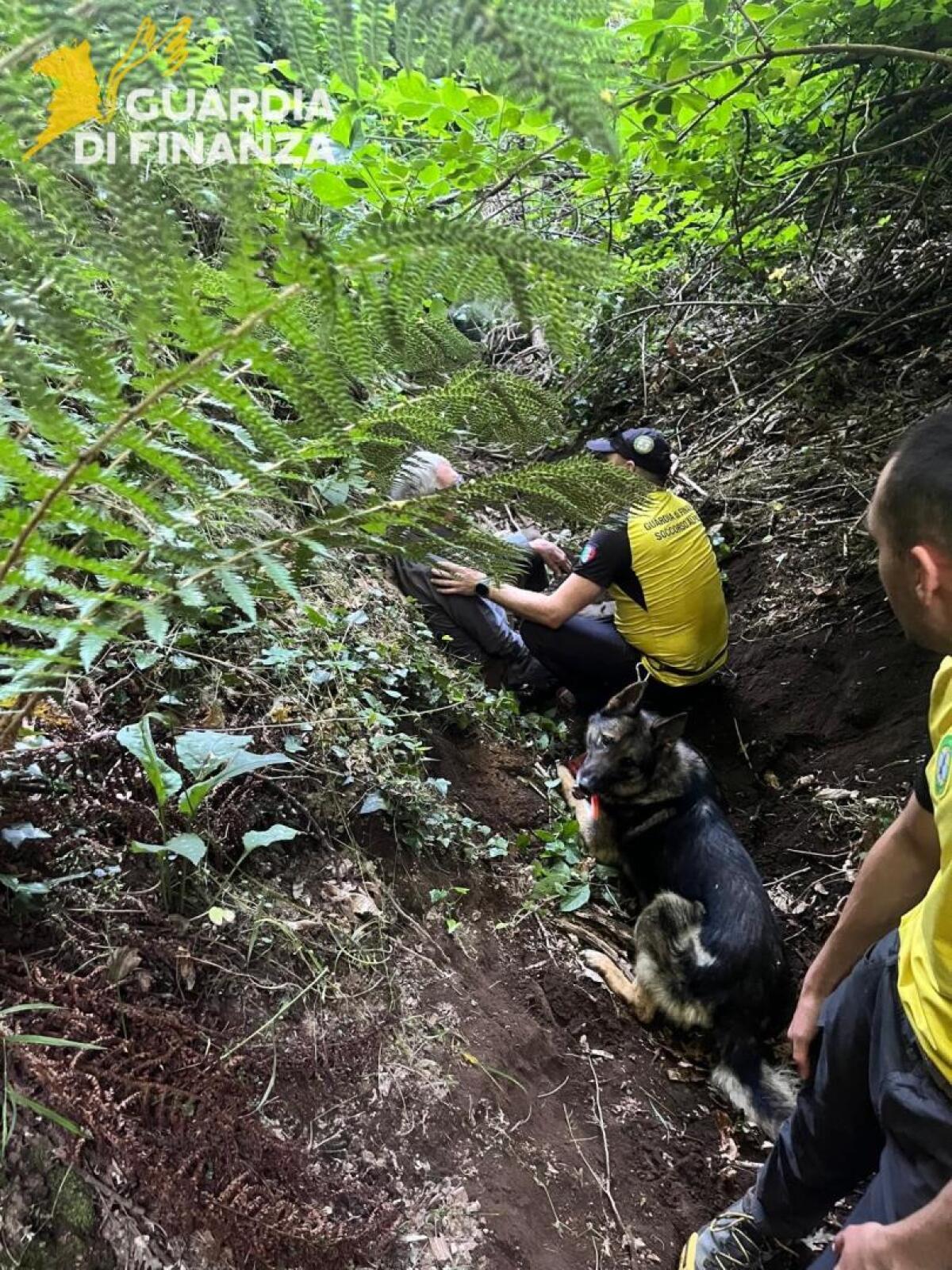 Tratto in salvo anziano cercatore di funghi disperso da ieri sul Partenio - 