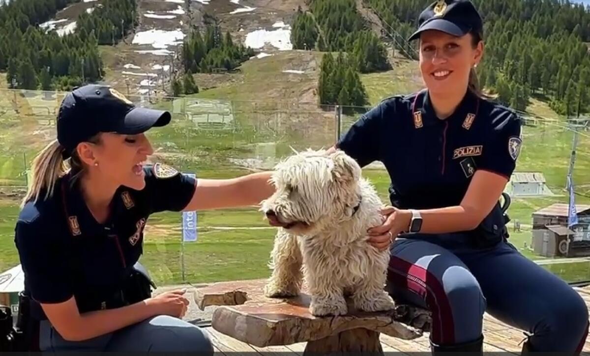 Polizia di Stato. La campagna informativa realizzata contro l’abbandono degli animali in occasione della stagione estiva. - 
