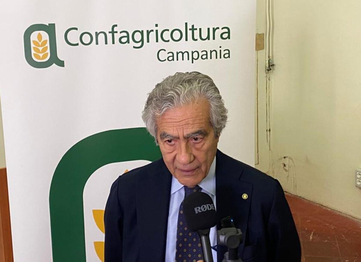 Regione Campania, Luigi Riccio nuovo DG Politiche Agricole. - 