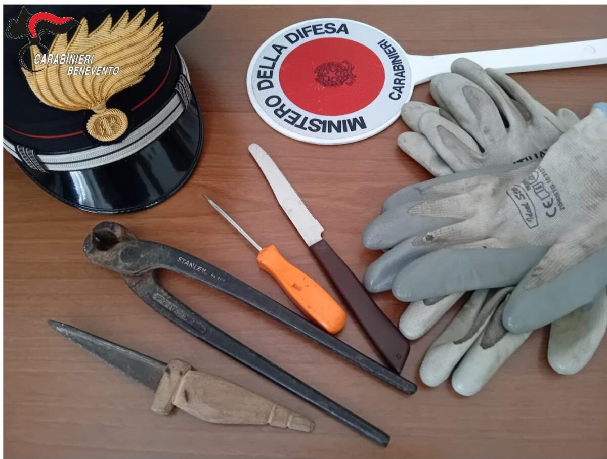 Furto sventato dai Carabinieri, fermato un giovane. - 