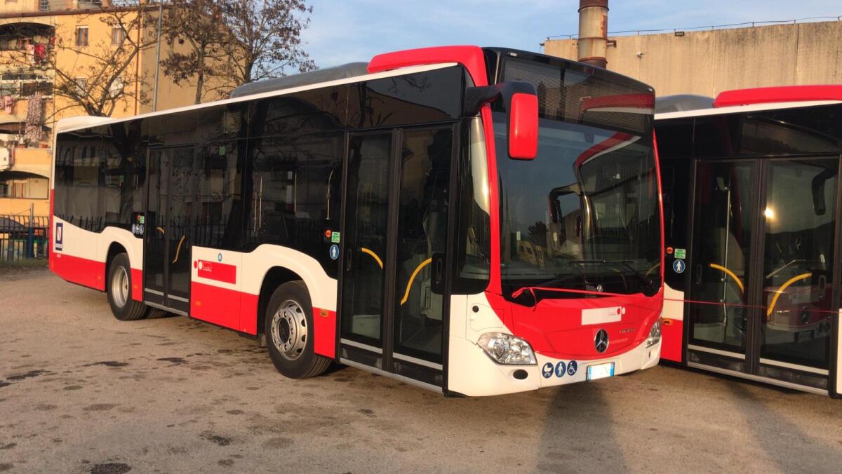Trotta: Fondo Priamo e sicurezza dei mezzi circolanti, i chiarimenti dell'assessore Ambrosone . - 