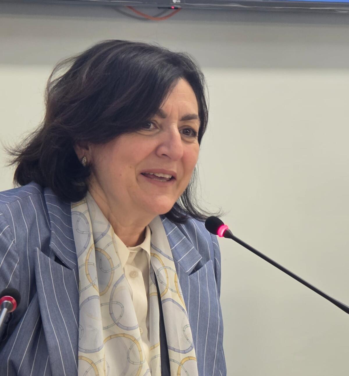 Violenza contro le donne, Raia  (Pd)”È ora di accelerare sulle misure di prevenzione” - 