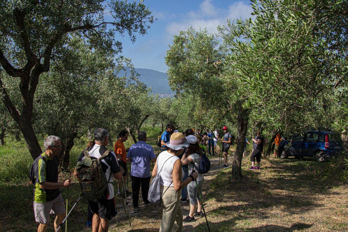  II^ edizione di “Radici in cammino”, trekking tra i vigneti. - 