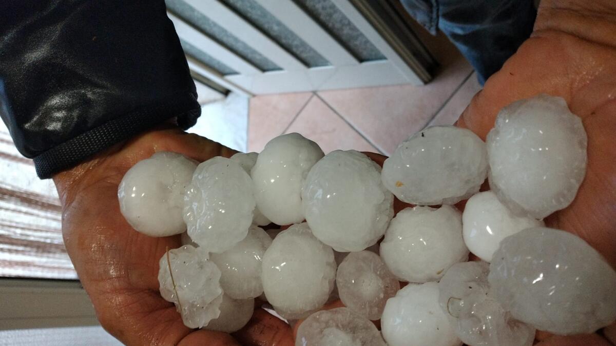 Grandinata nel beneventano:  50 per cento dei cereali e delle foraggere distrutto a San Bartolomeo in Galdo - 