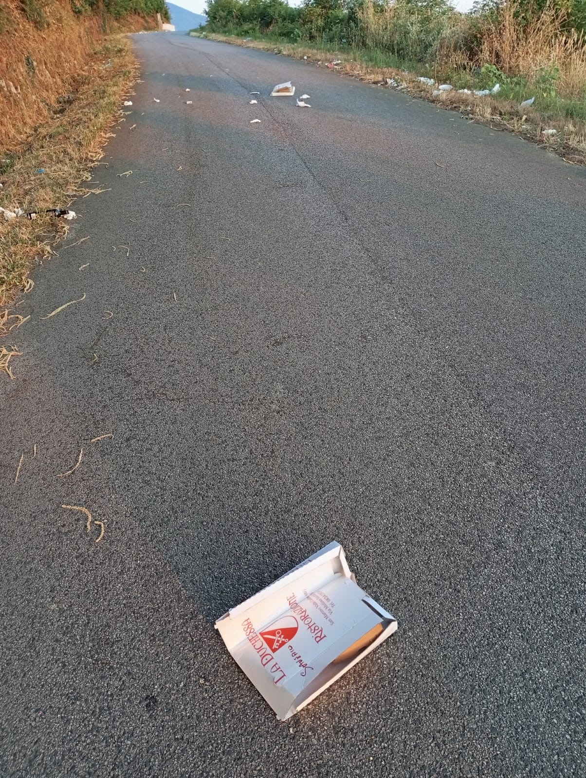 "Saverio", i cartoni della pizza non si buttano in mezzo alla strada.