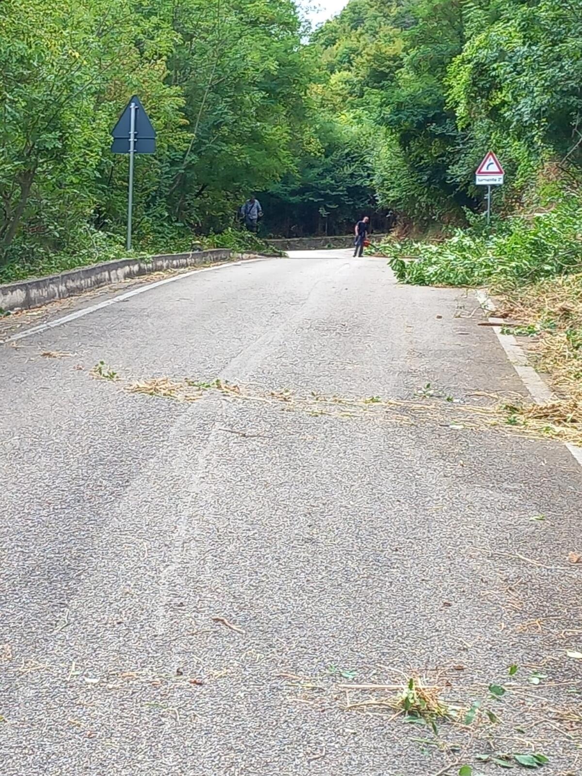 Cervinara. Manutenzione verde localita' Coppola - 