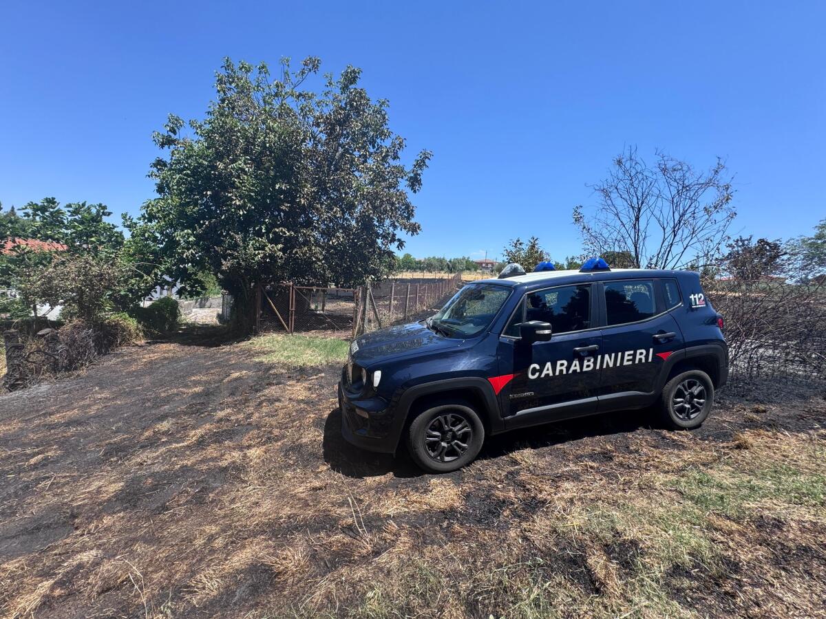 In fiamme un ettaro di terreno agricolo - 