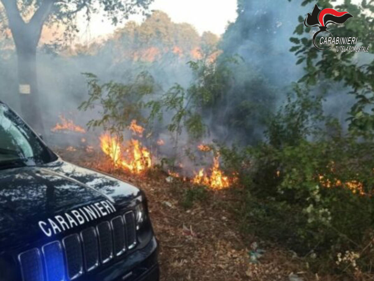 Montemiletto. Incendio boschivo, arrestato piromane 58enne - 