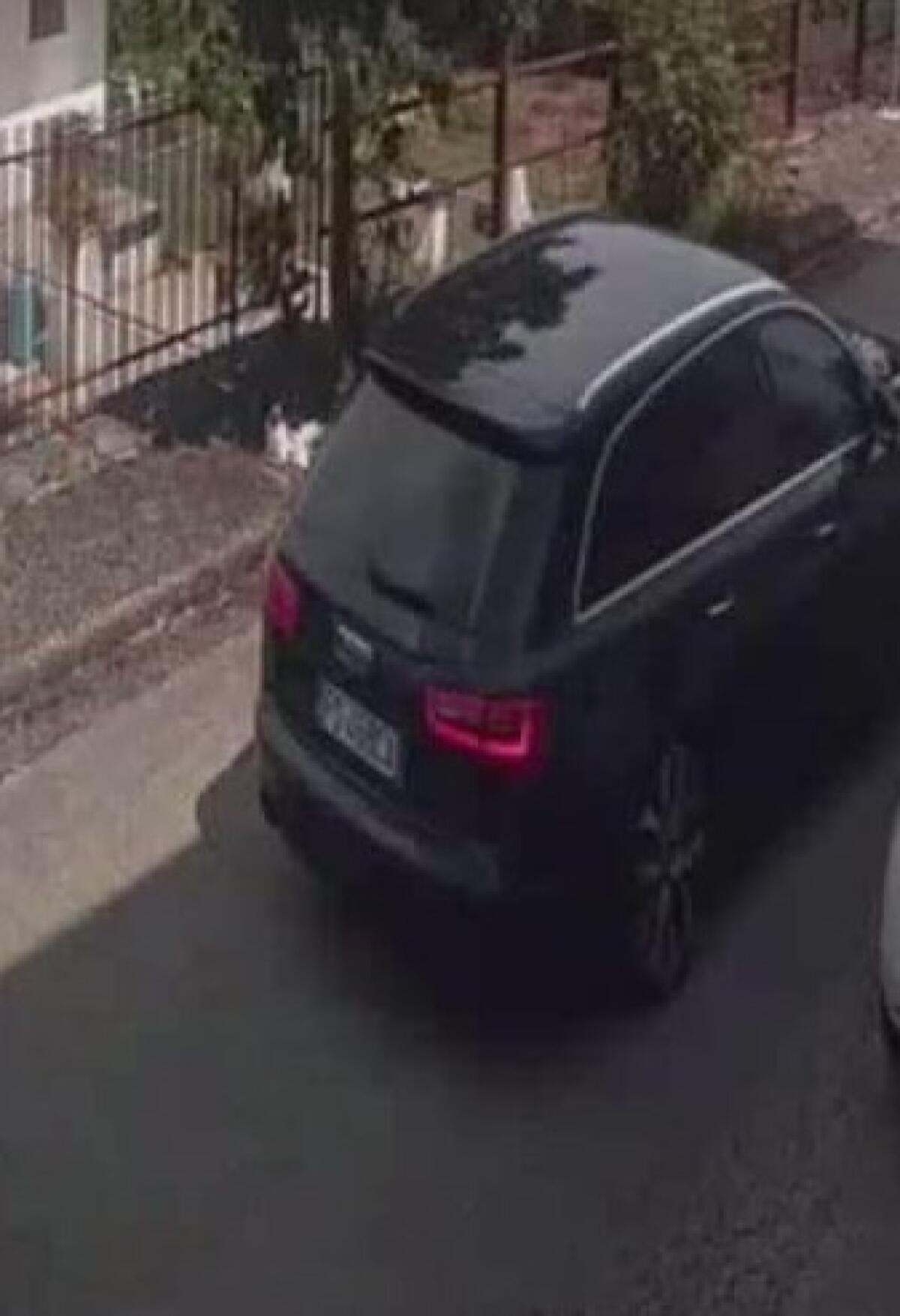 Cervinara. Attenzione ad un'Audi nera con quattro persone di colore a bordo, hanno tentato un furto - 