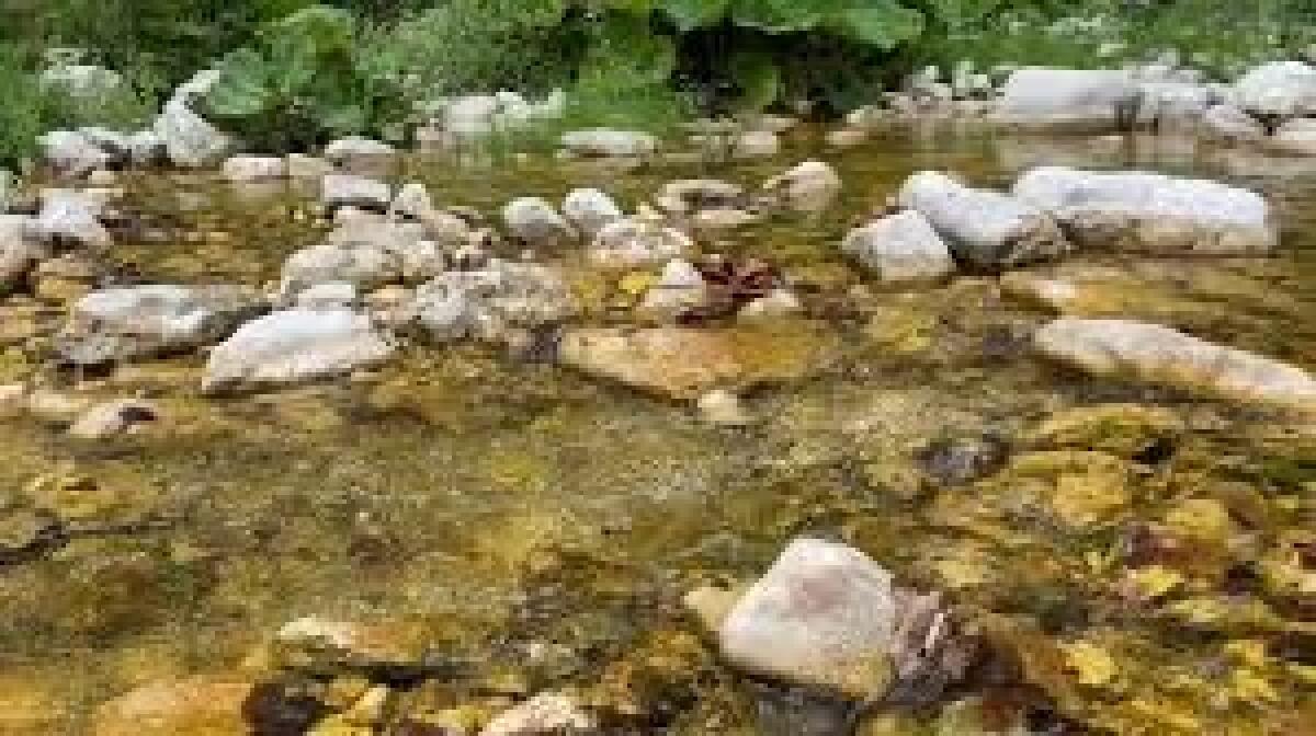 Disastro ambientale in alto Tammaro, ancora percolato nel torrente, il sindaco di Morconediffida il suo collega di Sassinoro - 
