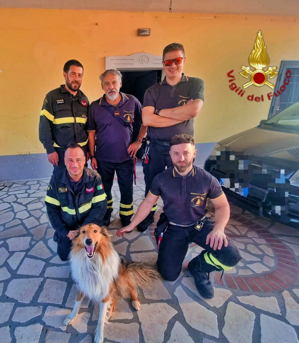 Vigili del fuoco salvano cane incastrato tra le inferriate di una finestra - 