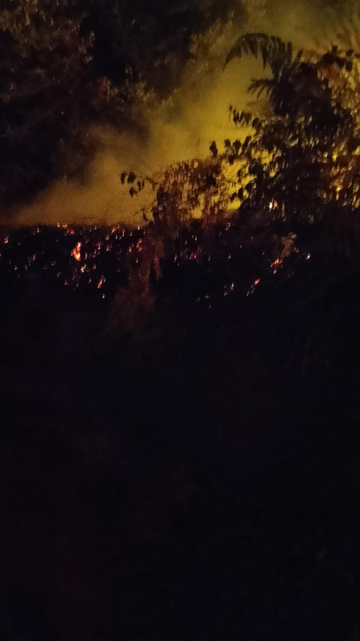  Emergenza incendi: il territorio brucia, ma chi lo difende non si arrende. - 