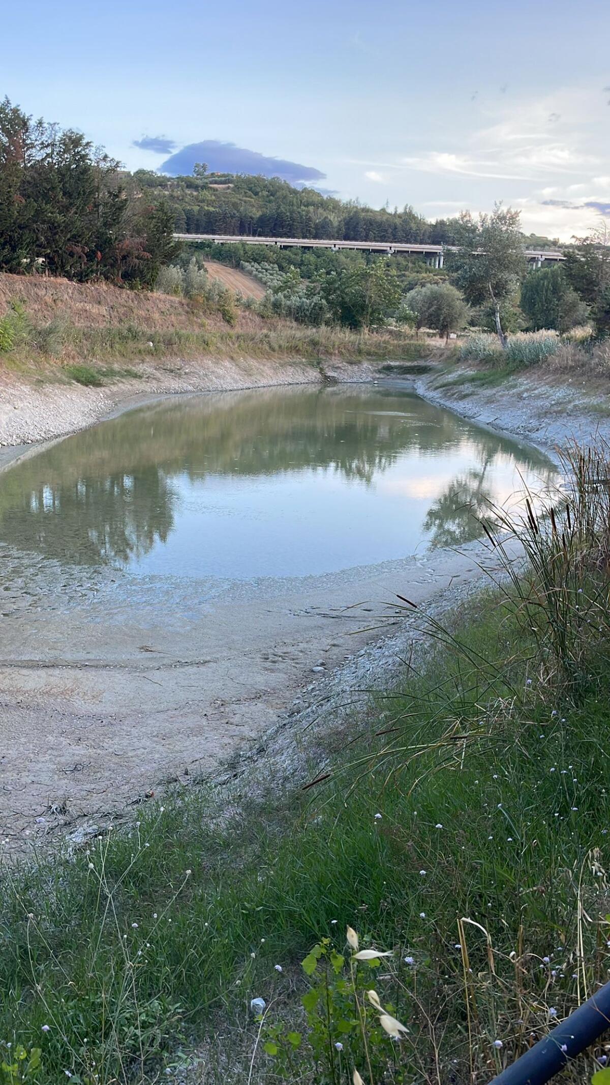  Valle Ufita: la siccità mette in ginocchio gli ulivi e le colture della zona - 