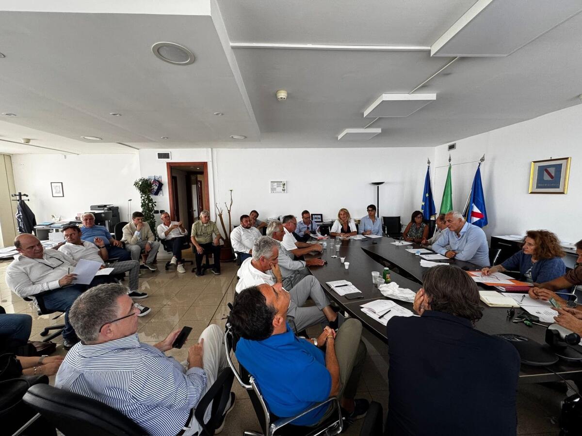 Appello al Governo: la Corilicoltura Campana è a rischio. - 