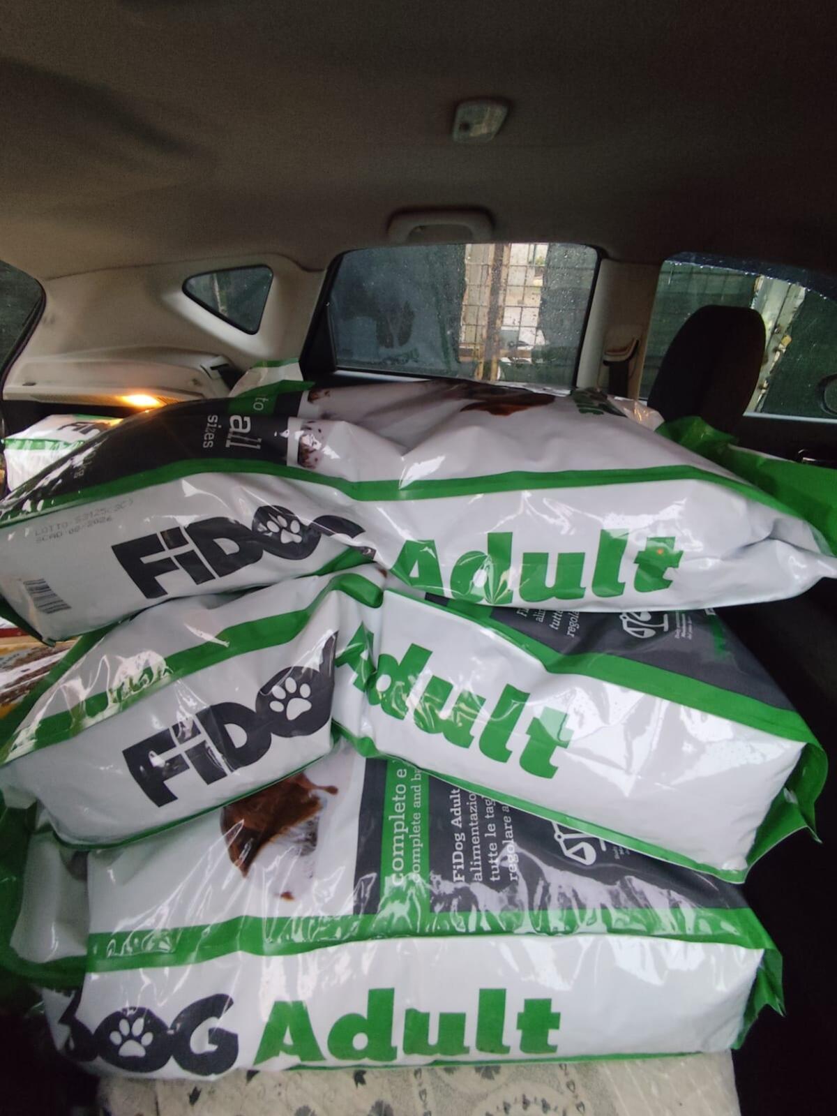 Cervinara. Invece di spendere soldi per fuochi artificiali, comprano crocchette per cani Associazione Mabello. Un plauso - 