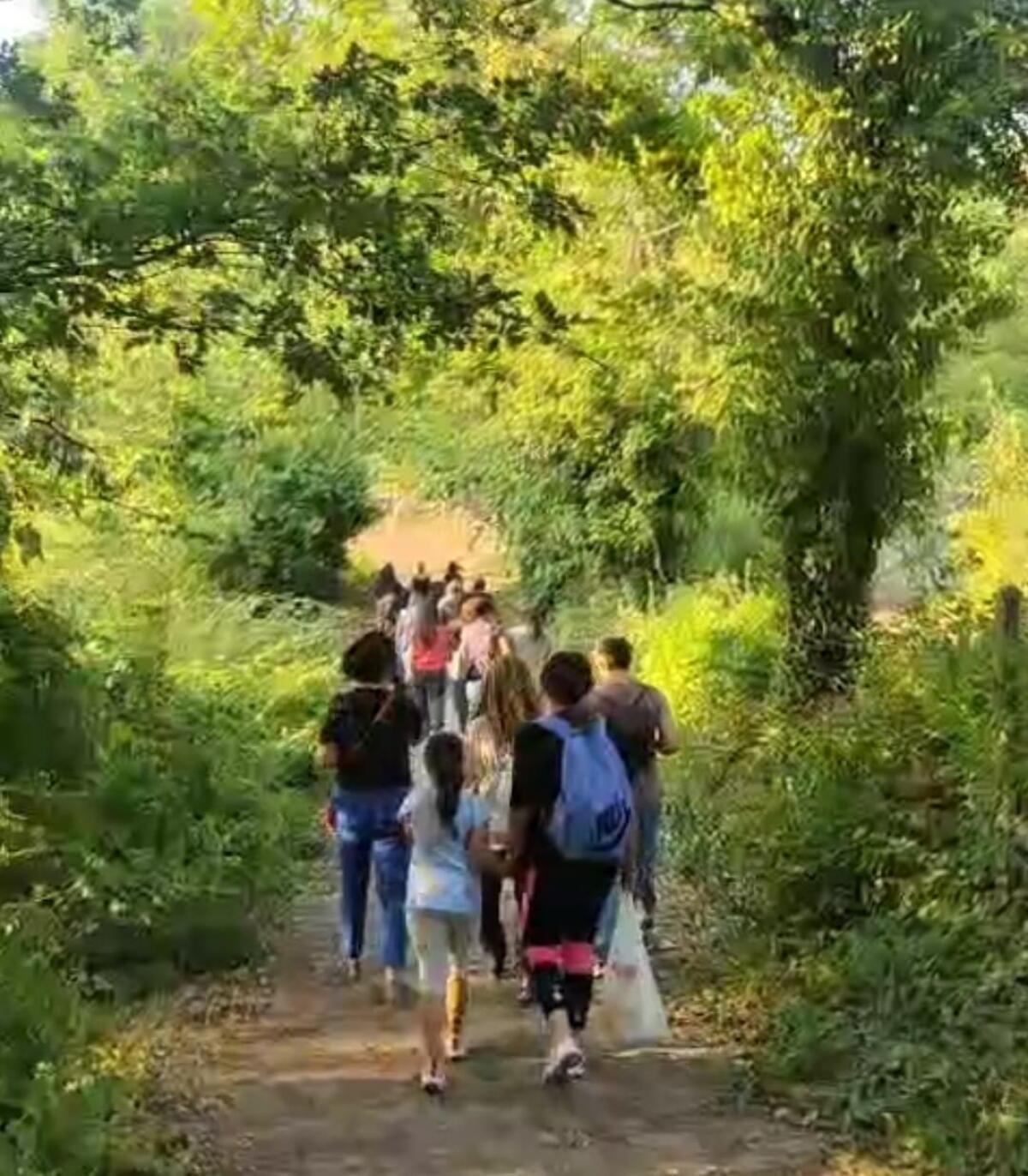 Bagno nel bosco e Sabba de Nuce: successo per un evento tra natura e tradizione. - 