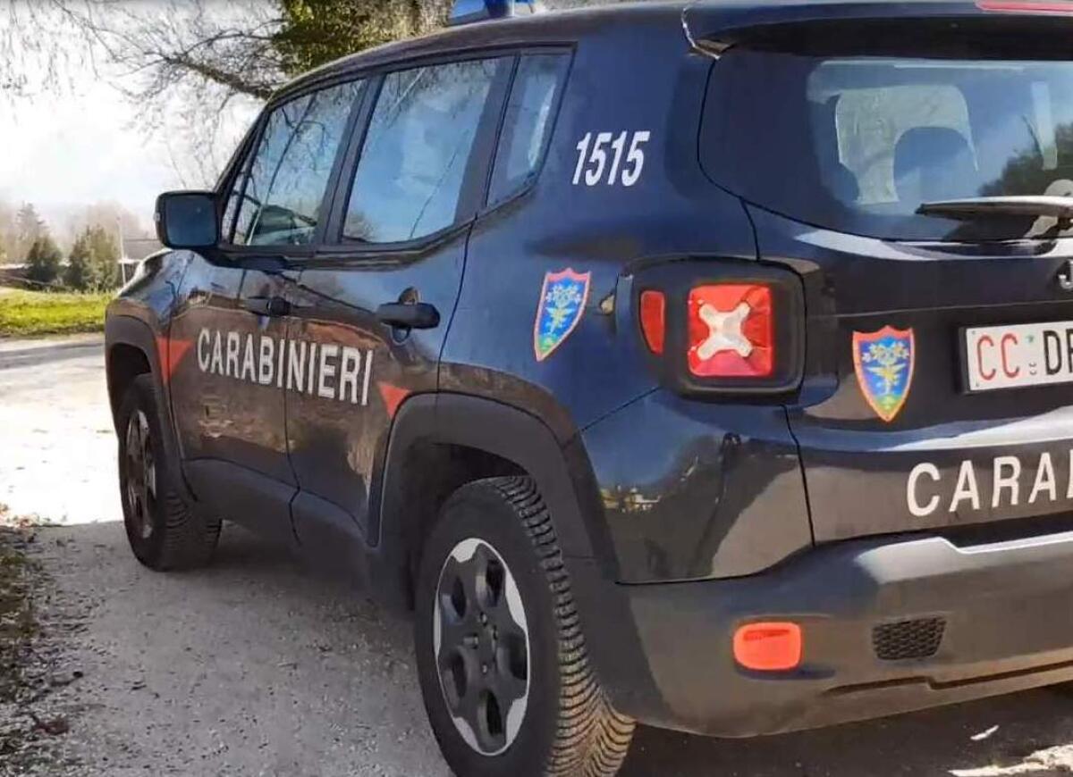 Avellino. Tutela dell’ambiente: i Carabinieri intervengono nel torrente Fenestrelle - 