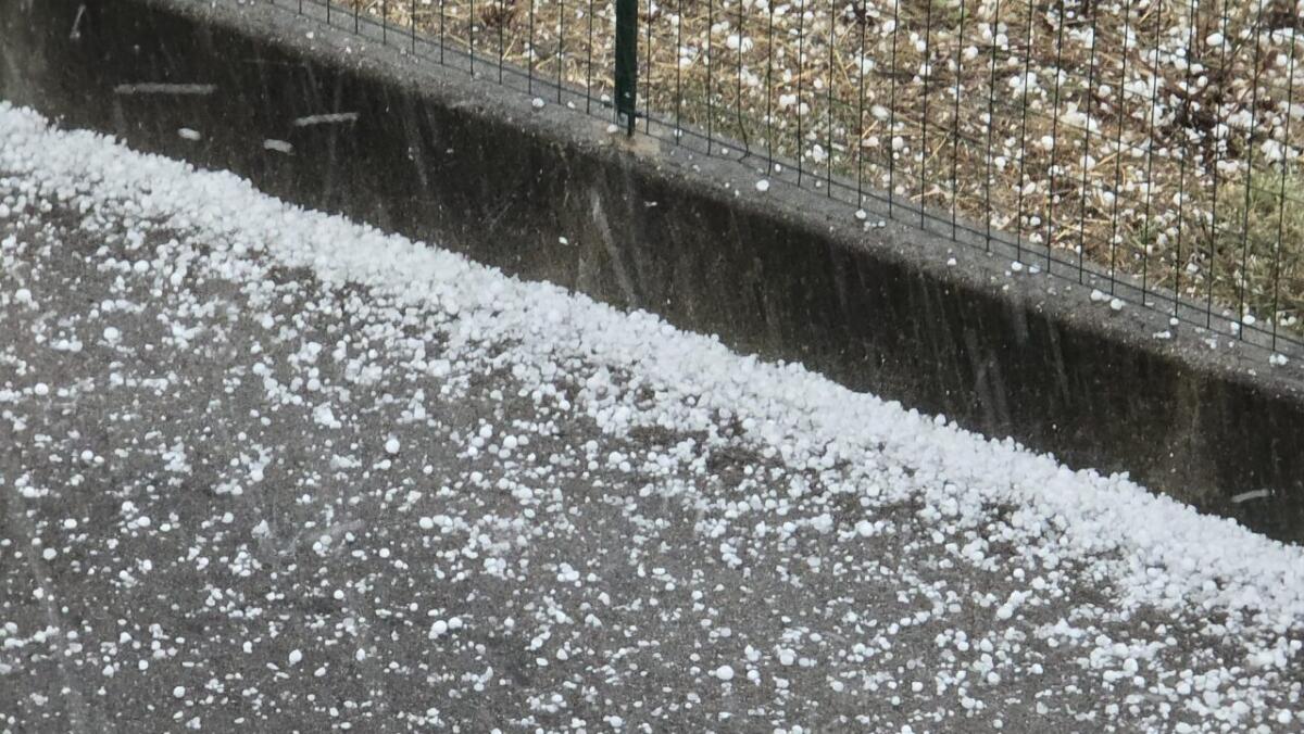 Grandinata devastante nel beneventano e nel nolano. - 