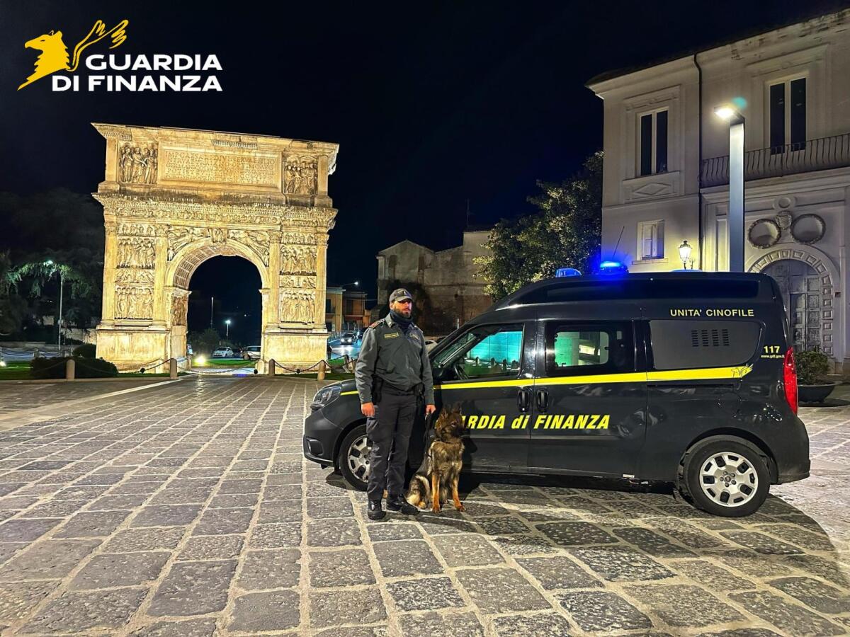 Finanzieri del Comando Provinciale di Benevento hanno sequestrato cocaina, marijuana e hashish - 