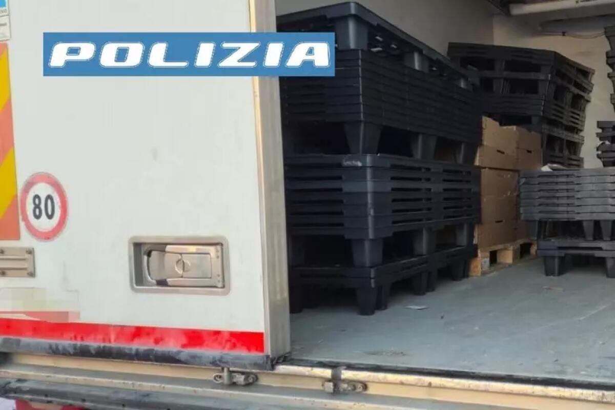 Rubano confezioni di polli a società distribuzione, due arresti - 