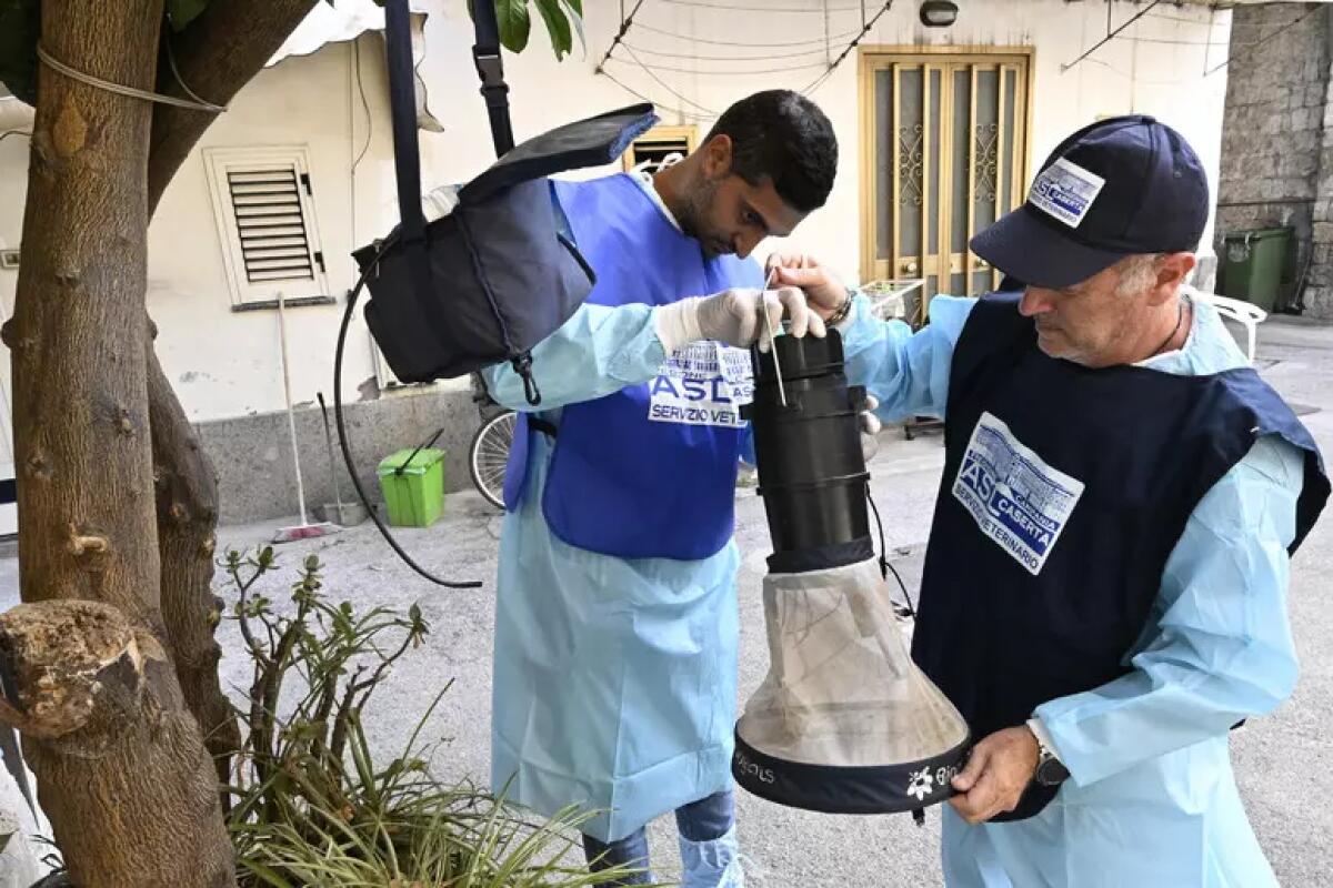 West Nile, salgono a otto le vittime nel Casertano - 