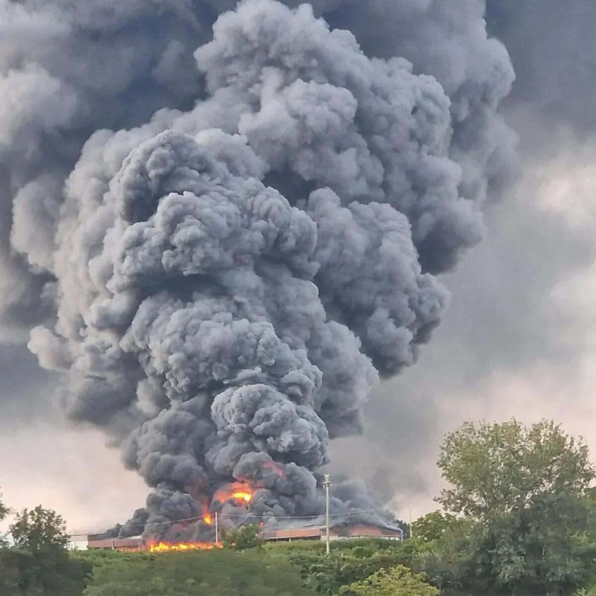 Rogo di Teano, la Coldiretti Caserta chiede un tavolo tecnico regionale per valutare i danni agli agricoltori - 