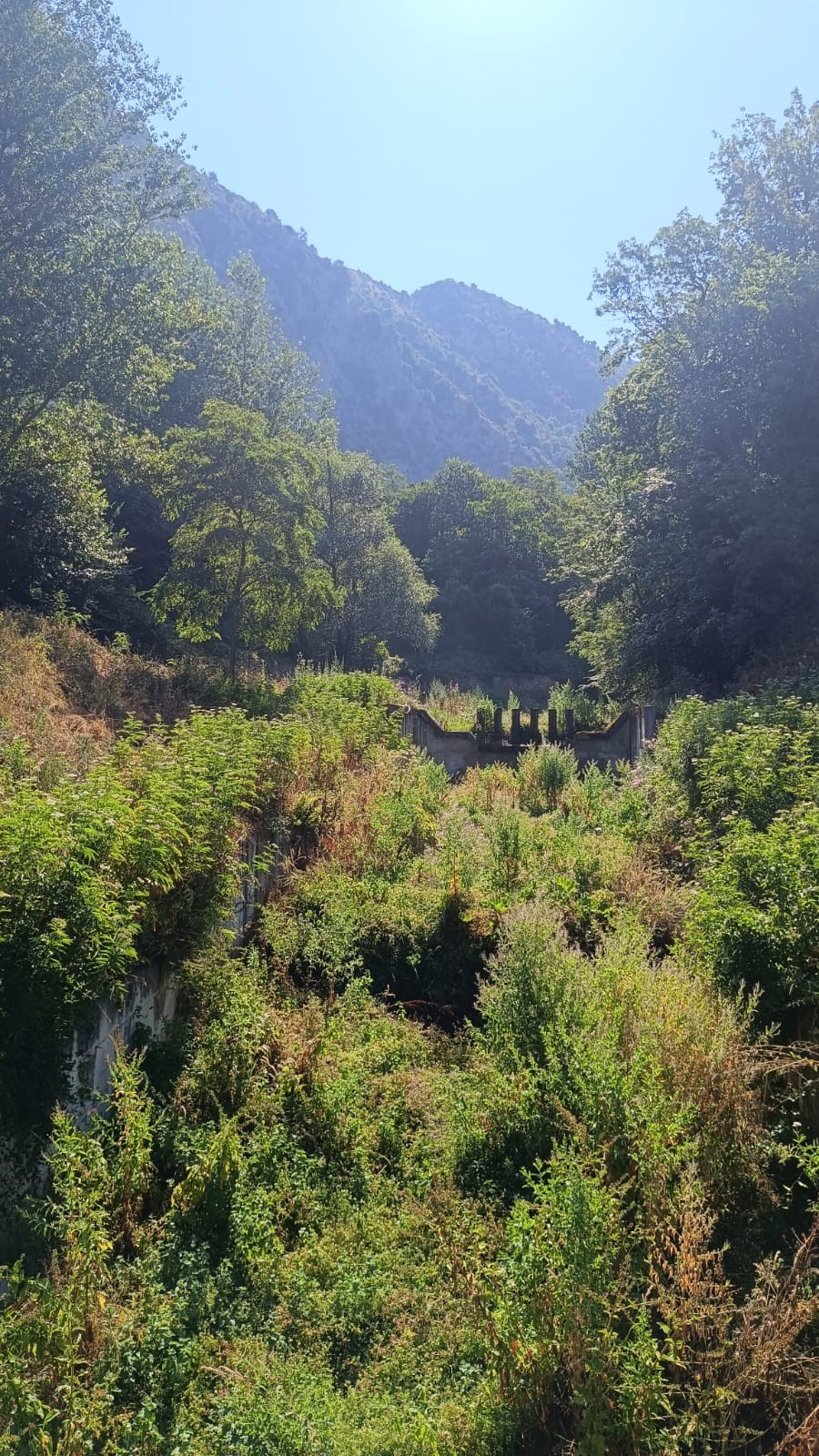 Cervinara. A quando la pulizia dei fiumi o devono provvedere i cittadini?