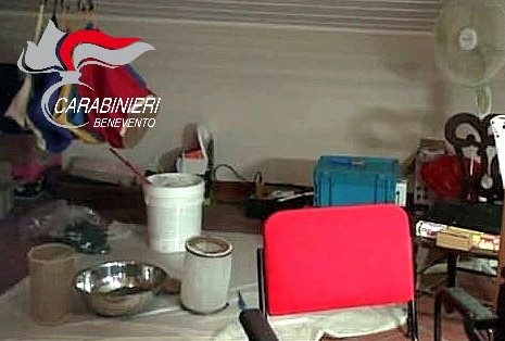 San Giorgio la Molara. Scoperta piantagione di marijuana, due arresti