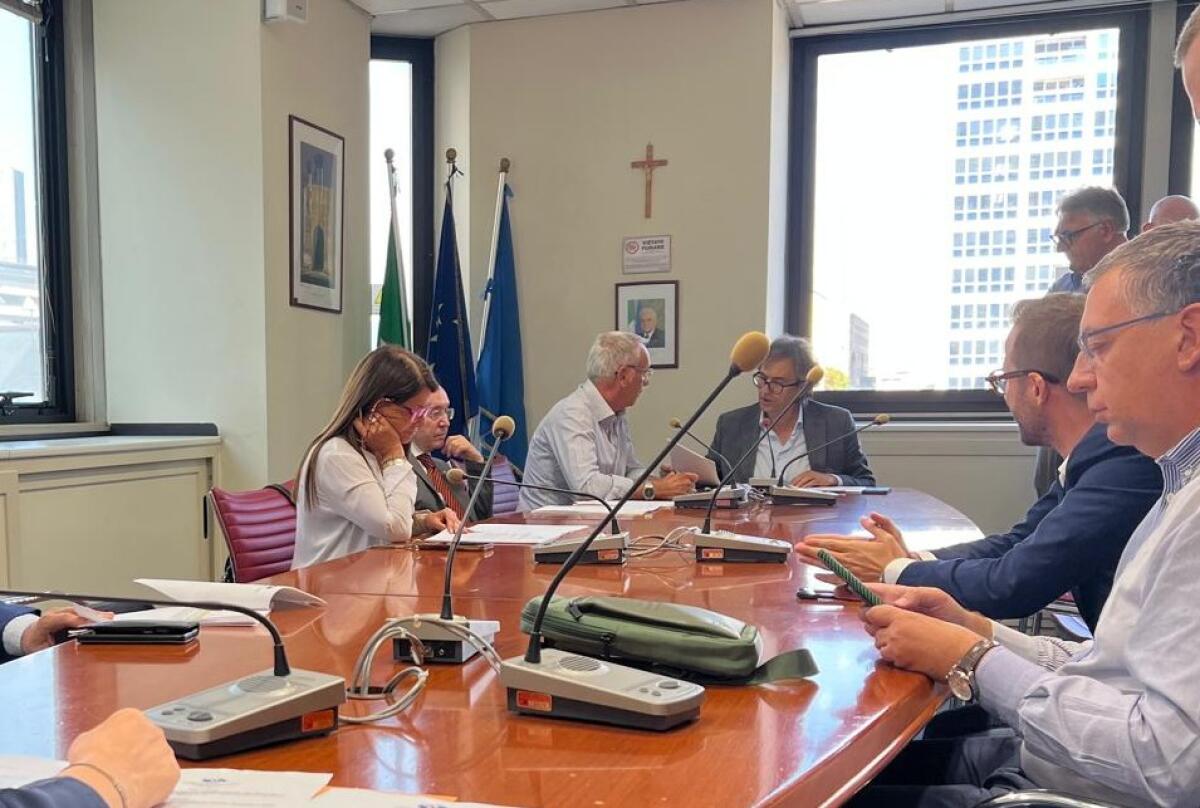 Fibromialgia: approvato testo unificato per riconosimento come malattia invalidante. - 