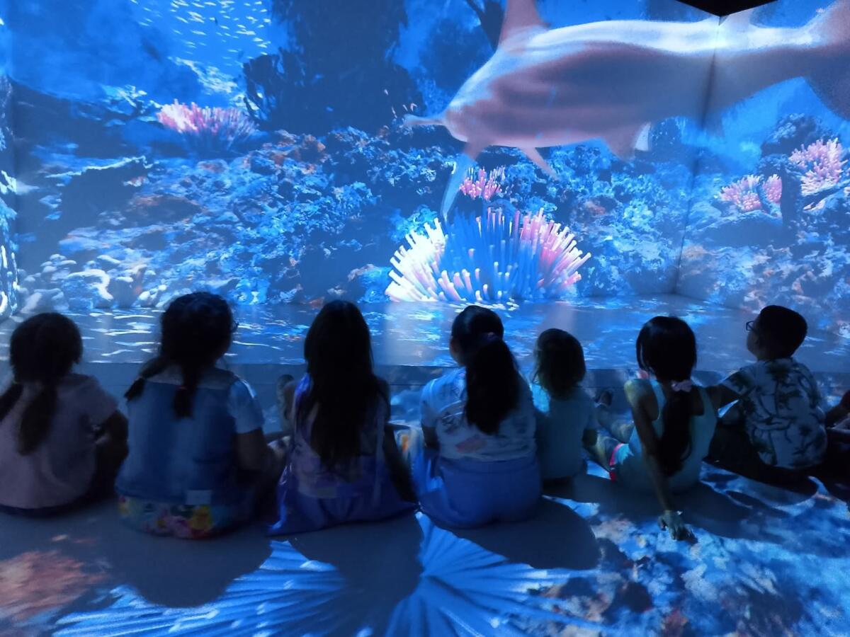 Giochi e nuovi modelli educativi: boom di piccoli visitatori alla “Family Room" di Atripalda. - 