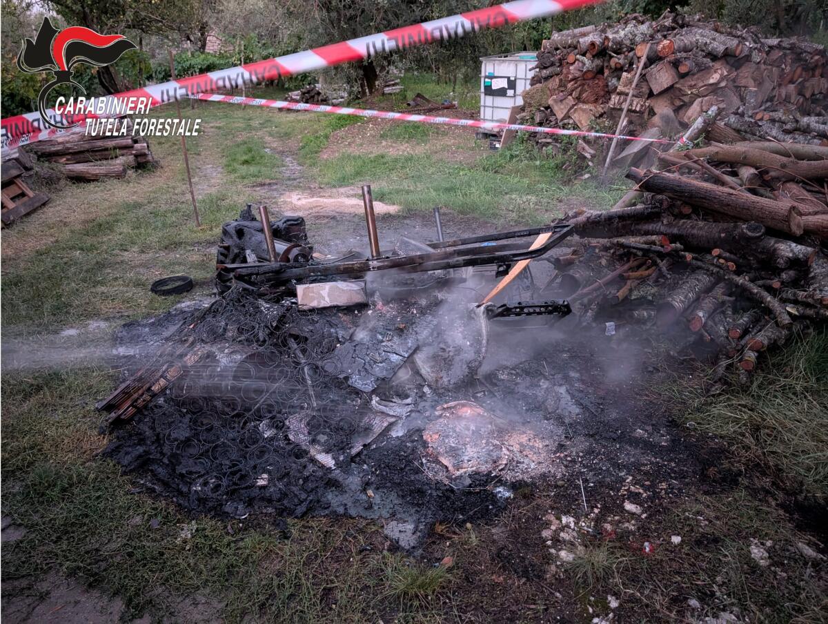 Incendia rifiuti urbani e speciali,  denunciato agricoltore di Campoli Monte Taburno. - 