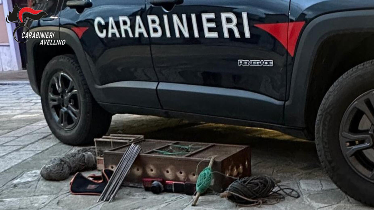 Uccellagione, denunciato un 60enne - 