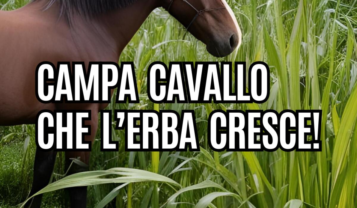 Valle Caudina. Campa cavallo che l’erba cresce! - 