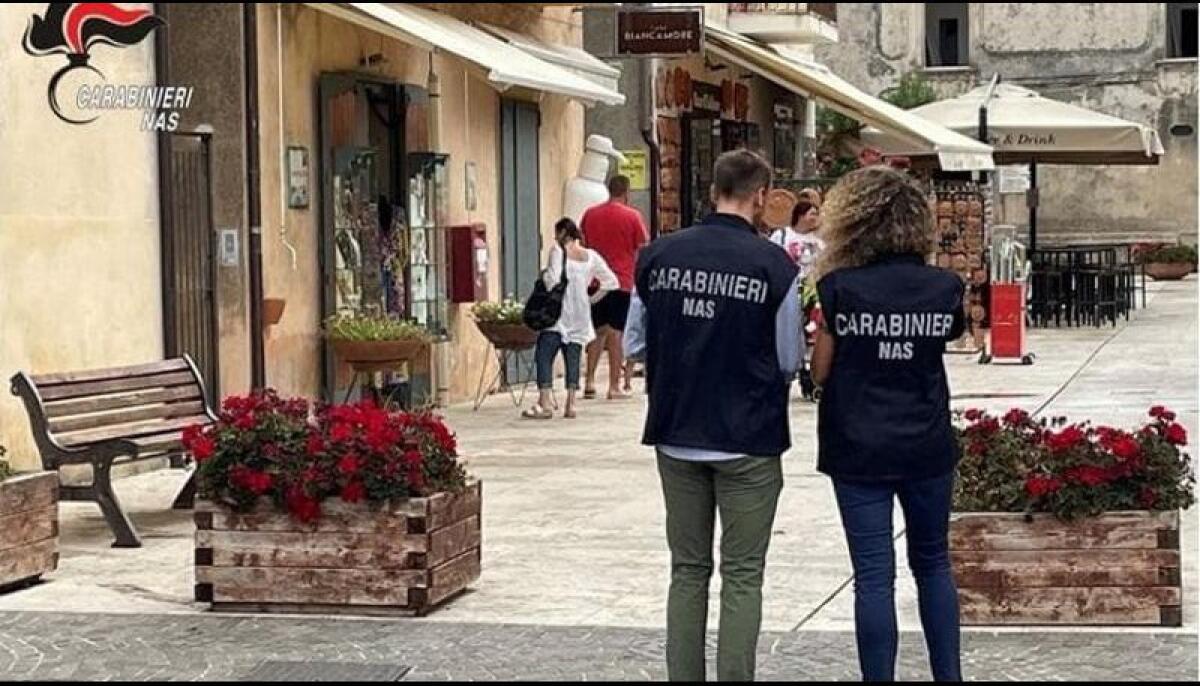 Chiuse dai Nas nelle Province di Avellino, Benevento e Salerno 64 attività. - 