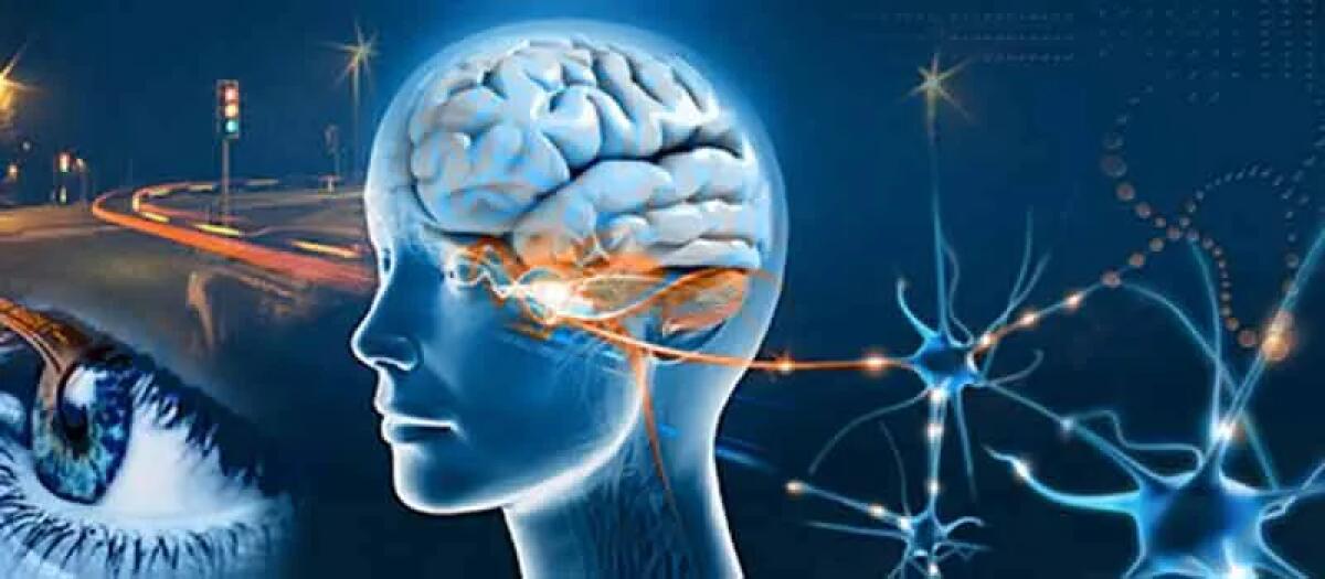 La cura del trauma attraverso la terapia EMDR - 