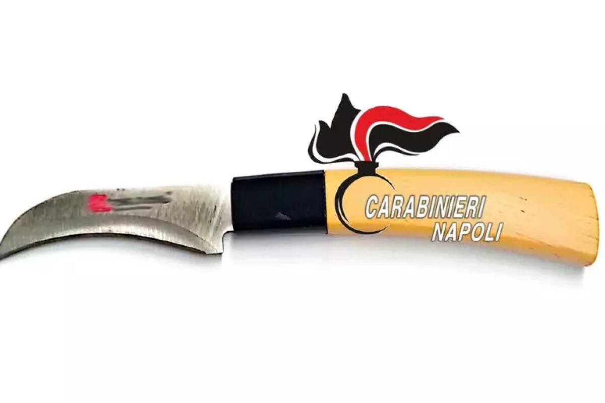 Docente trova coltello nel bagno della scuola. - 