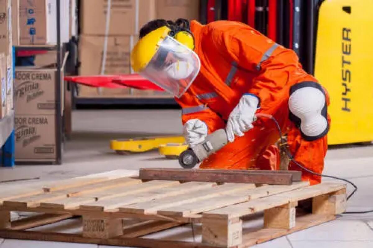 Stop scuola-lavoro in attività ad alto rischio per alunni - 