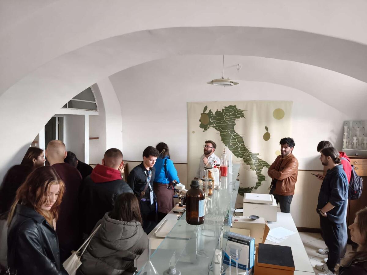 L'Olio Extra Vergine Sannita Incontra l'Europa. - 