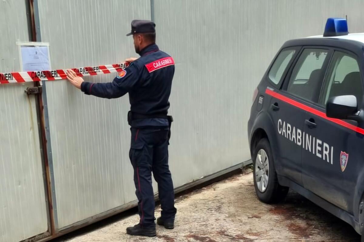 Inquinamento fiume Sarno, i Carabinieri denunciano l’amministratore unico di una conceria. - 