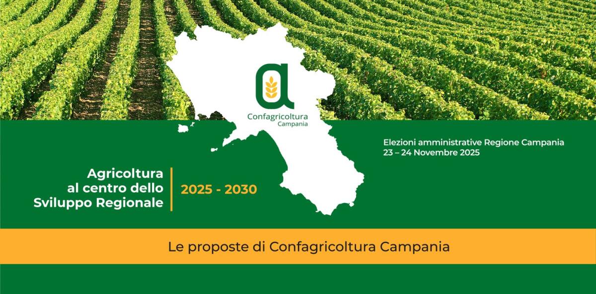 L’agricoltura al centro dello sviluppo regionale in 12 punti: le proposte di Confagricoltura Campania - 