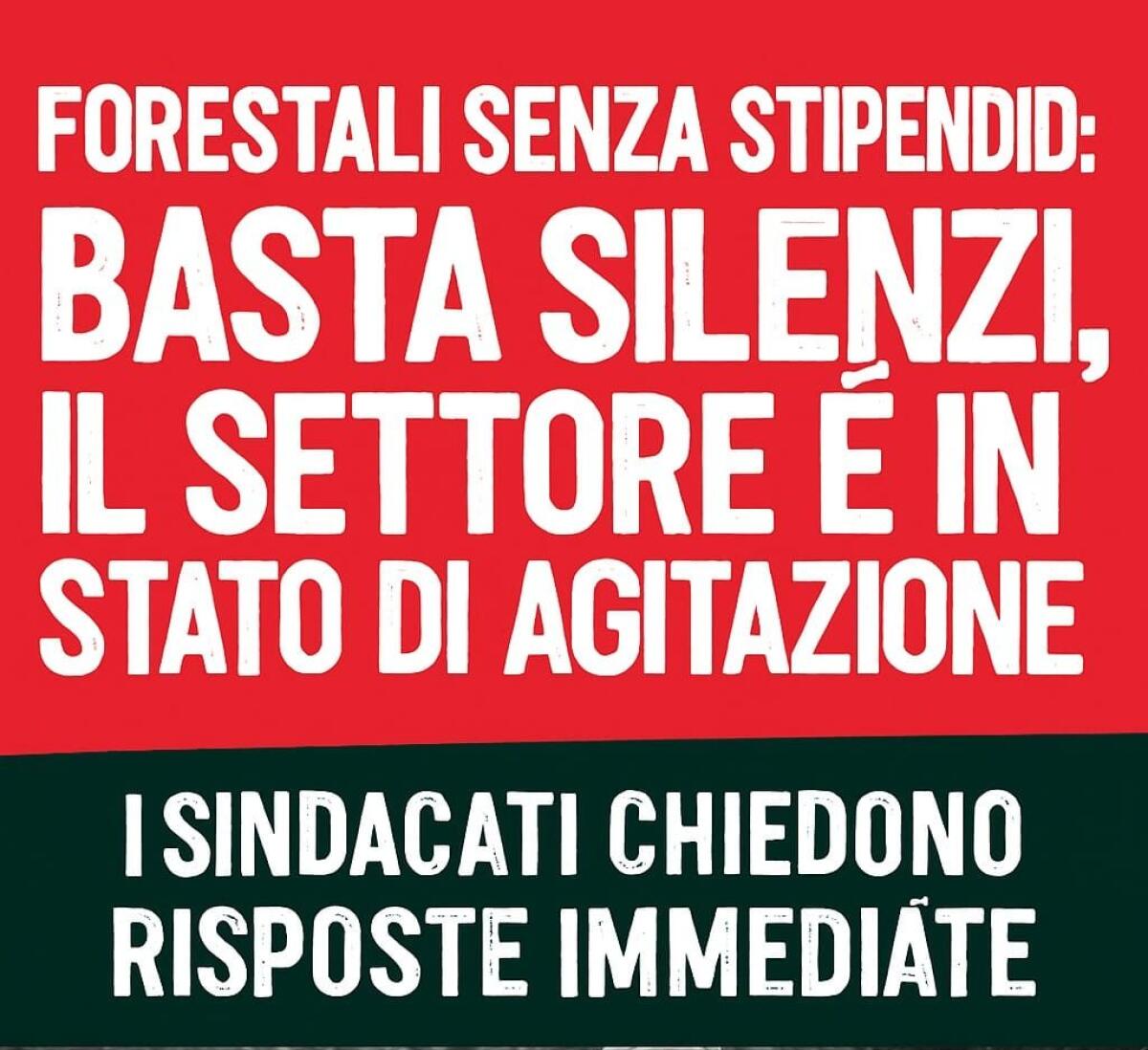 Forestazione: lavoratori senza stipendio da mesi. - 