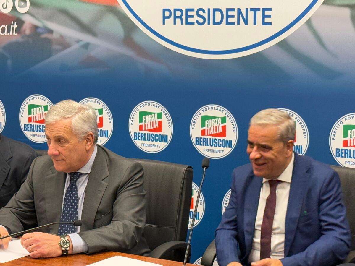Regionali, D'Agostino(FI): la Campania la prossima sfida - 