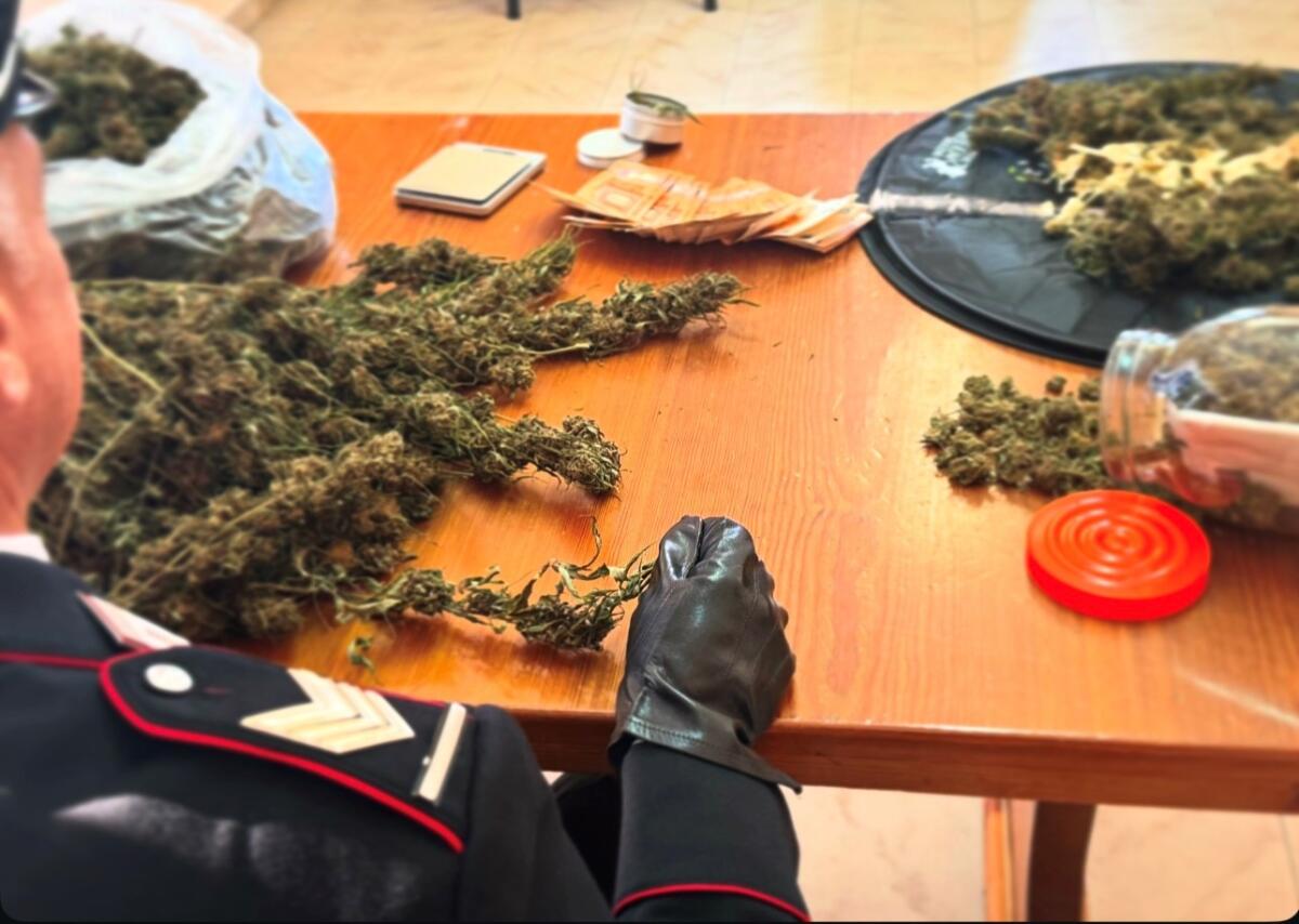 49enne arrestato dai Carabinieri di Montesarchio con oltre 200 grammi di marijuana - 