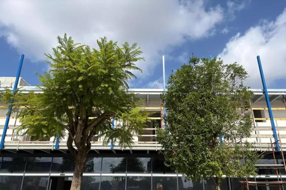 Mortale incidente sul lavoro, perde la vita titolare ditta edile - 