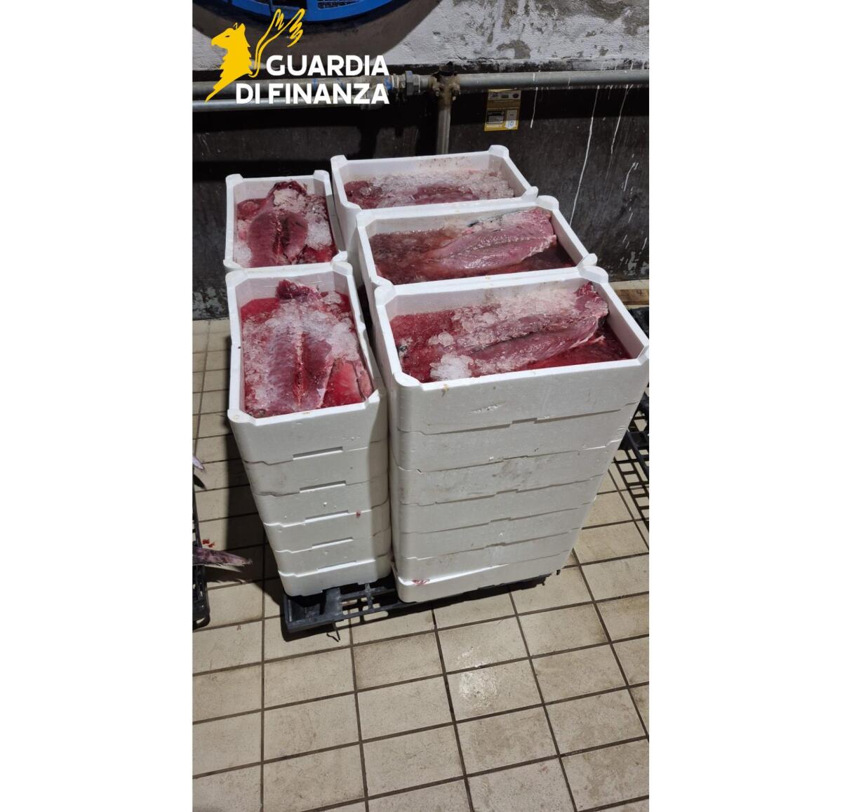 La Guardia di Finanza sequestra una tonnellata di prodotti ittici - 