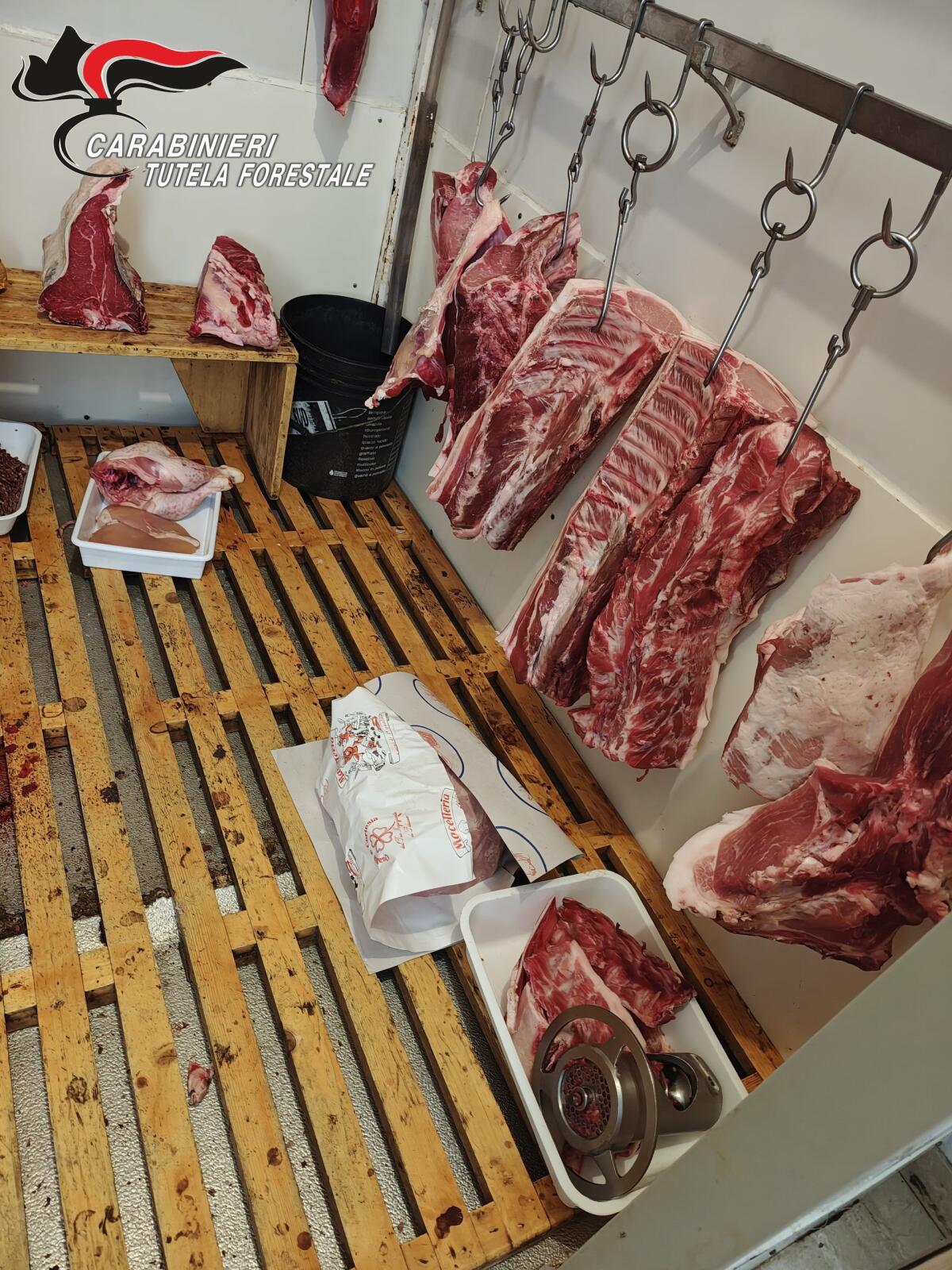 Violazioni delle normative igienico-sanitarie, sospesa attività di vendita al pubblico - 