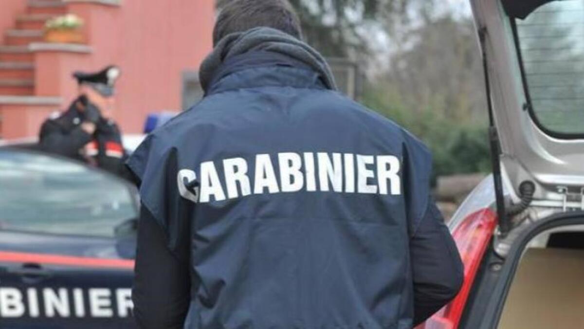 Carrello elevatore a prezzo conveniente, ma è una truffa: denunciato un 52enne - 
