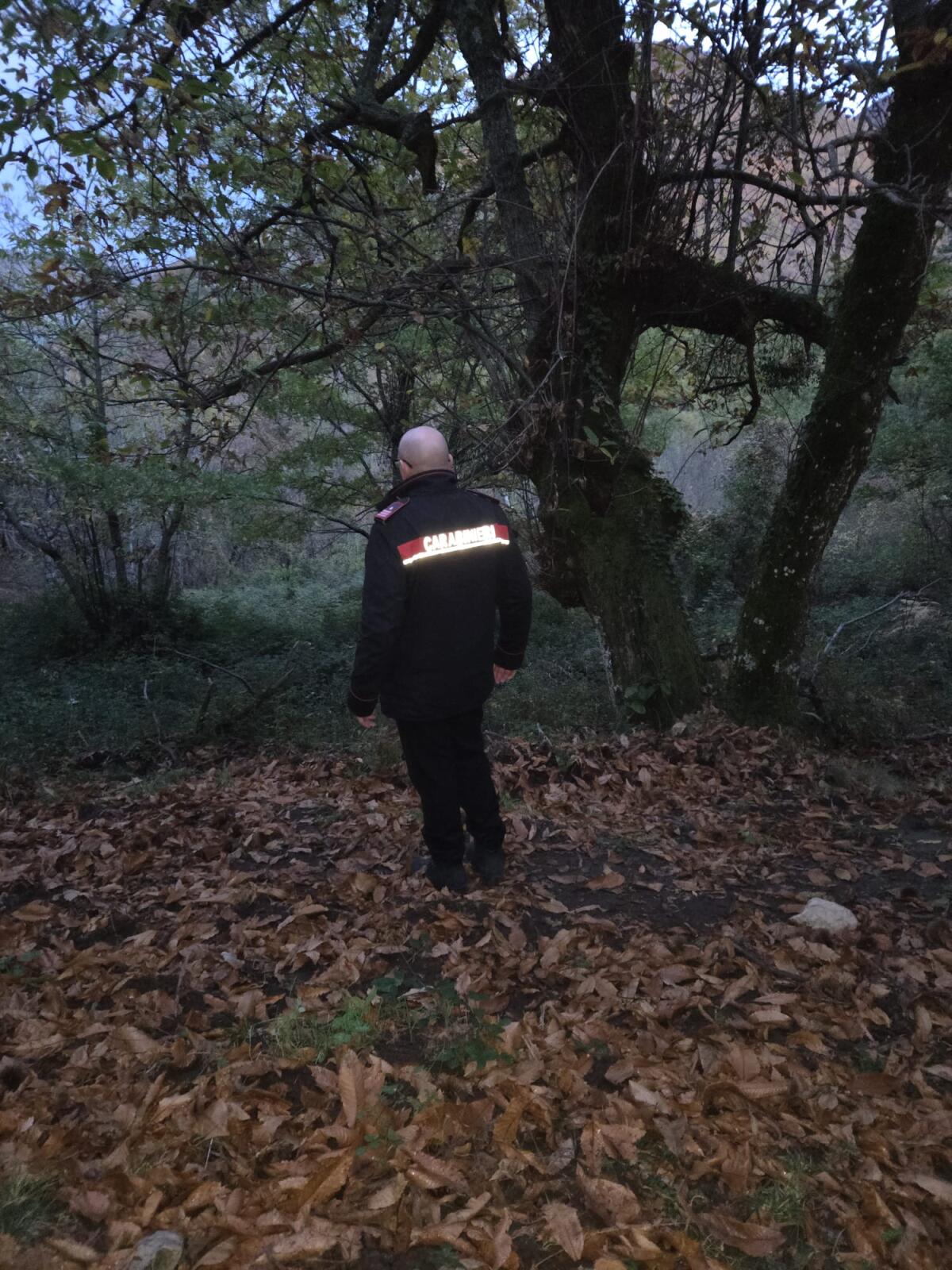 Minorenne attinto da colpi di  arma da fuoco mentre va alla ricerca di funghi. Indagini in corso - 